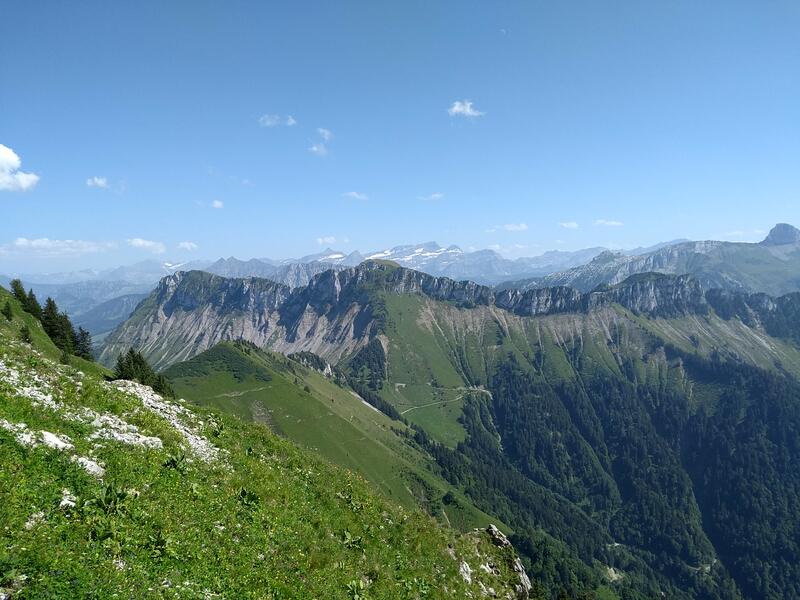 https://monorailc.at/hfr/21/08/naye2.jpg