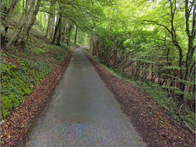 https://monorailc.at/hfr/24/04/lomont.jpg